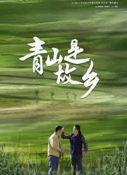 《青山是故乡》：烽火年代的家国情怀，催人泪下的<a href='/zone/6/p/34.html' target='_blank'>战争剧</a>